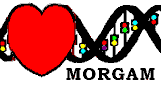 MORGAM logo